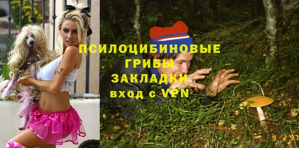 MDMA Алексин