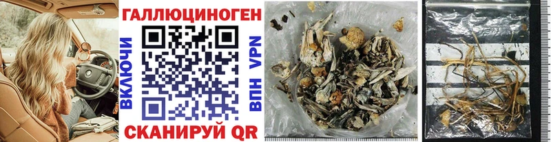 Псилоцибиновые грибы Psilocybine cubensis  Купить закладки  Далматово 